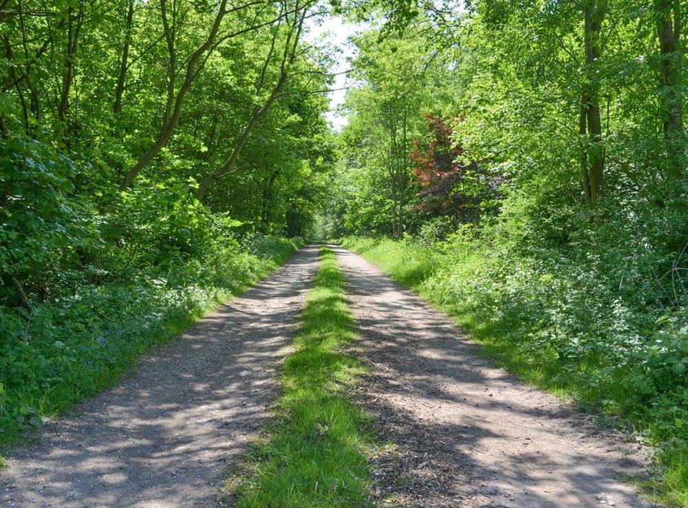 Approach to holiday homes via a country lane at Halfmoon Wood, 