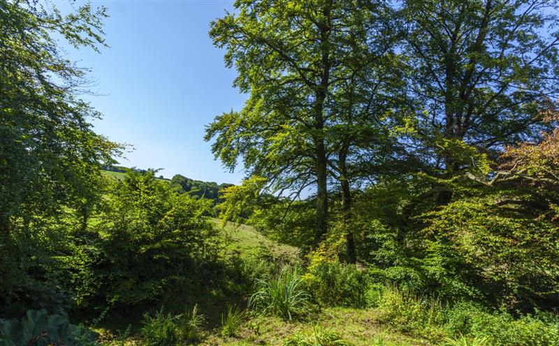 The setting of Red Deer Cottage