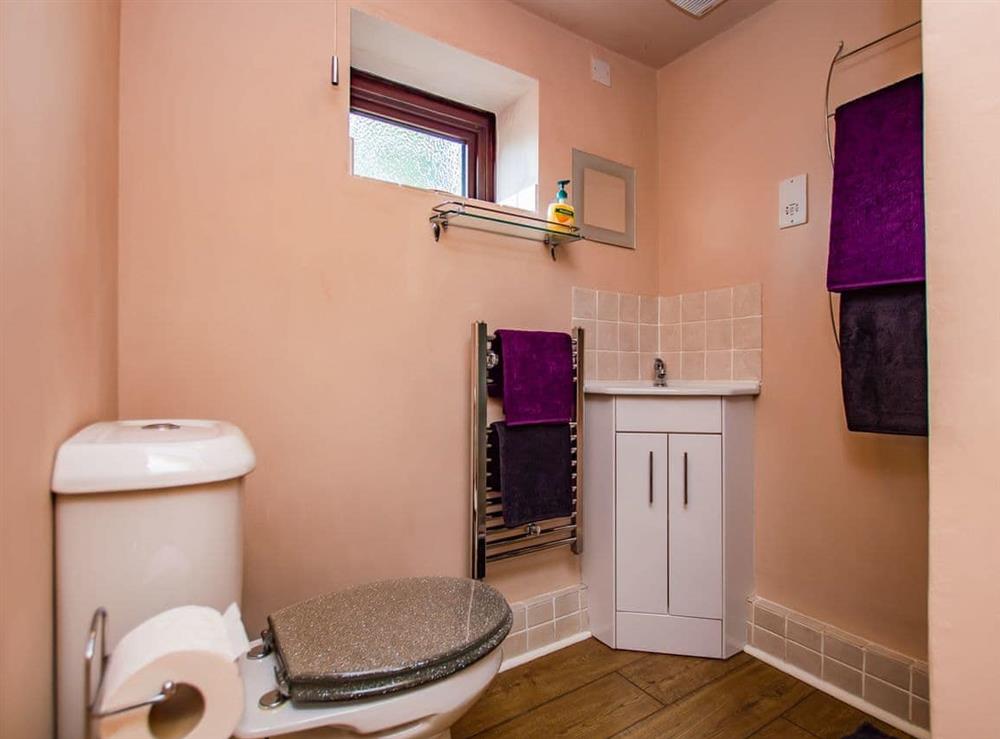 Bathroom at Red Kite Cottage  in Maesymeillion, near New Quay, Ceredigion, Dyfed