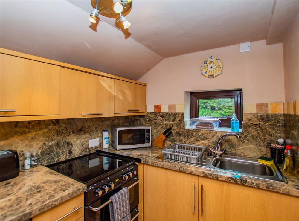 Kitchen at Red Kite Cottage  in Maesymeillion, near New Quay, Ceredigion, Dyfed