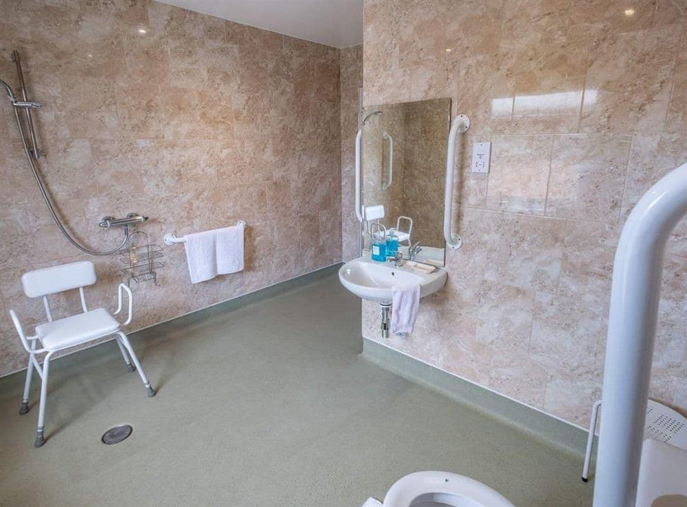 Convenient wet room at Red Squirrel Lodge in Wootton, near Newport, Isle of Wight