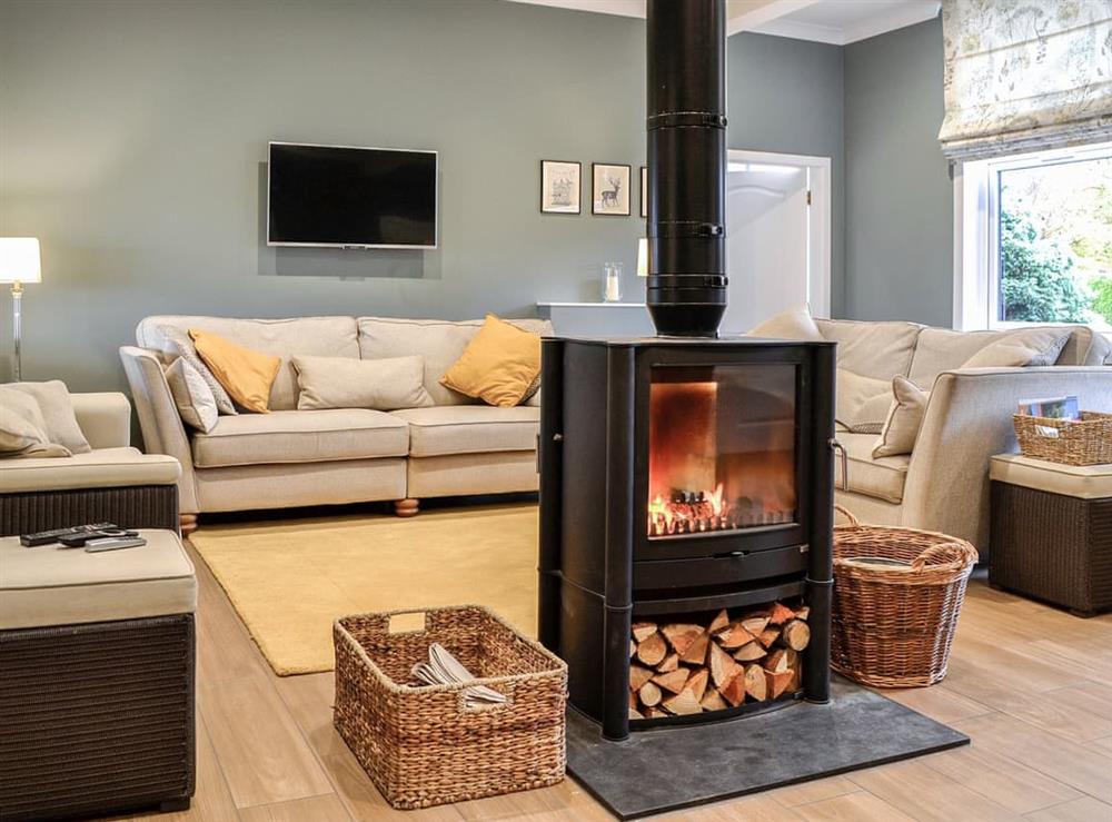 Living area at Redroofs By The Woods in Forfar, Angus