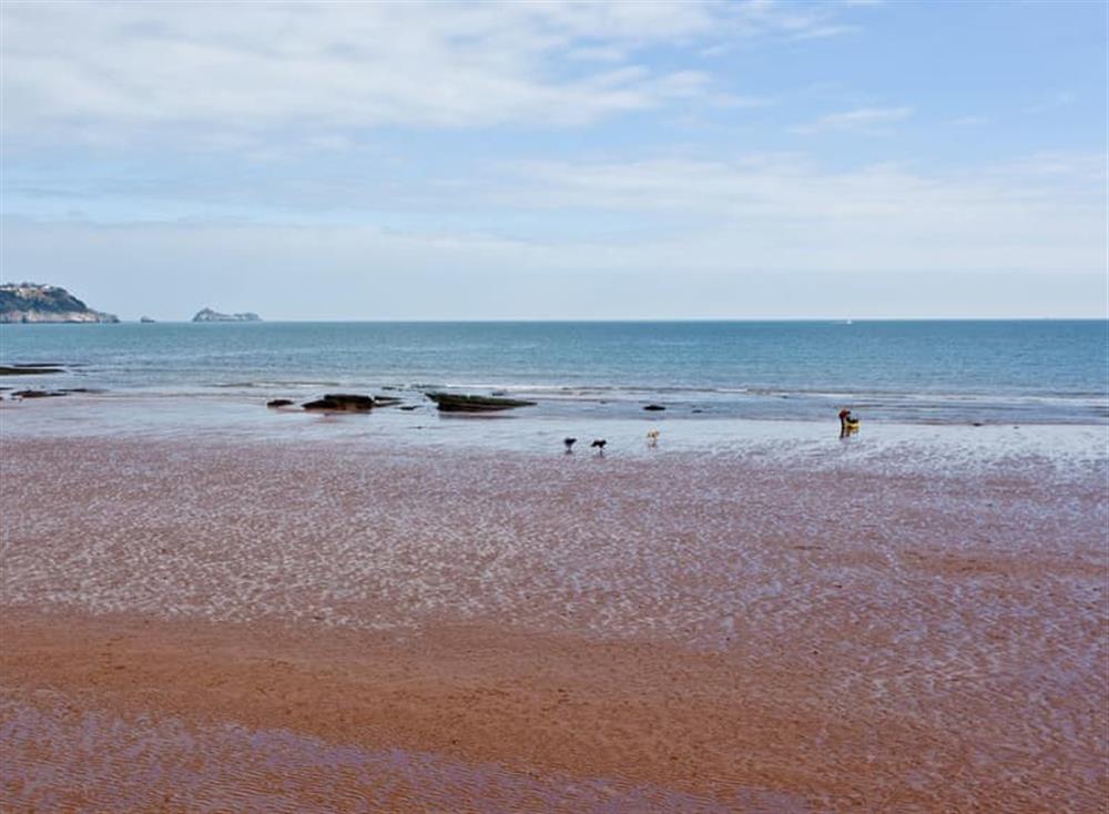 Surrounding area at Redsands in , Paignton