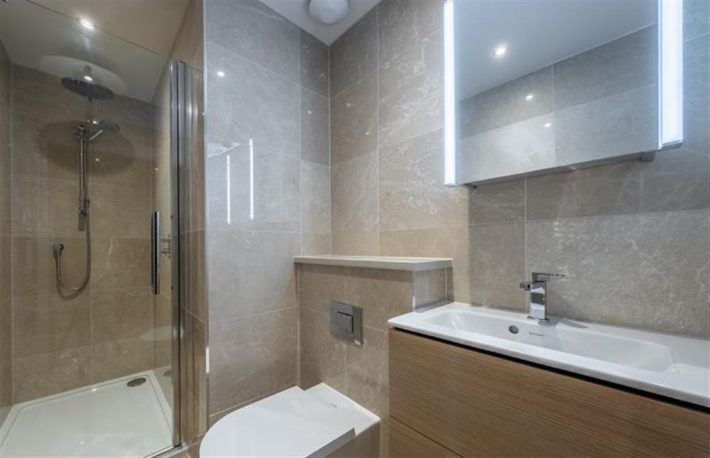 Ground floor:  Shower room with wash basin and WC at Reenroe, Docking near Kings Lynn