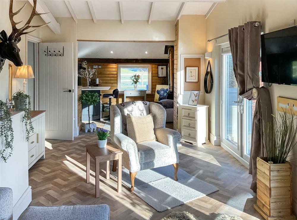 Open plan living space at Reindeer Lodge in Llwynhelig, South Glamorgan