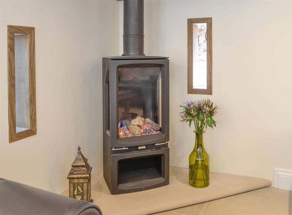 Warm and cosy gas fired woodburner in the living area at Reivers Retreat in Denton Mill, near Brampton, Cumbria