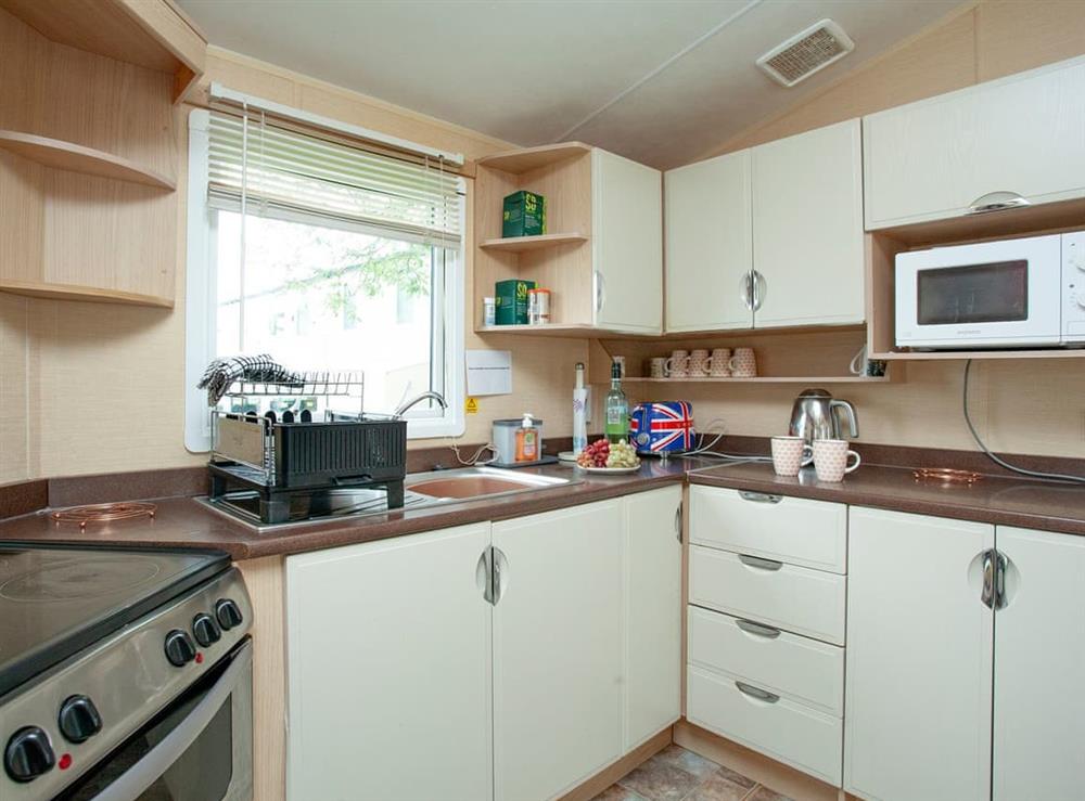 Kitchen area (photo 2) at Retro Lodge in Paignton, Devon