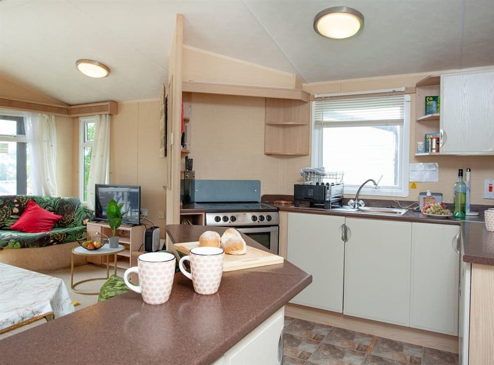 Open plan living space (photo 2) at Retro Lodge in Paignton, Devon