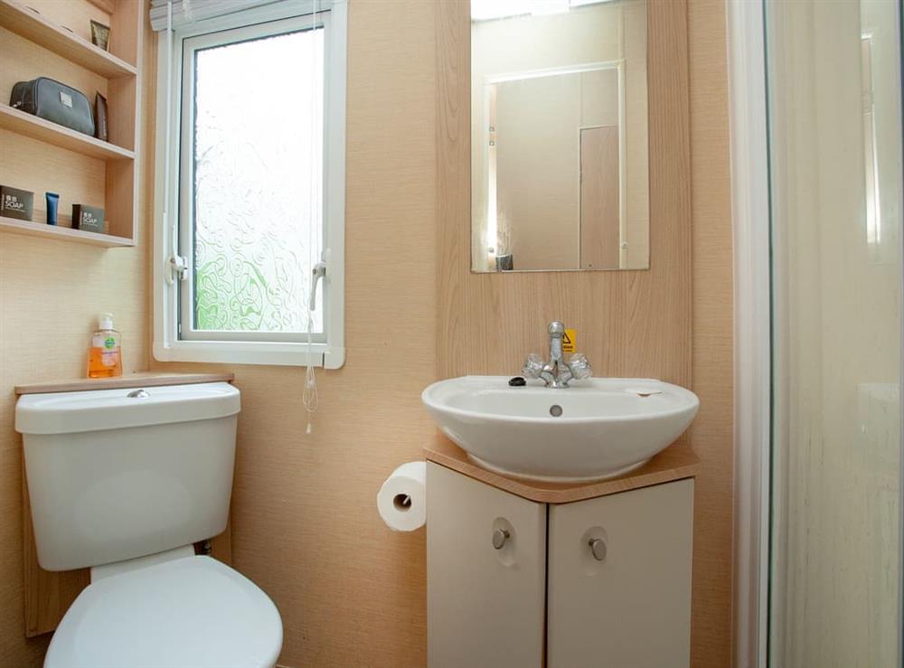 Shower room at Retro Lodge in Paignton, Devon