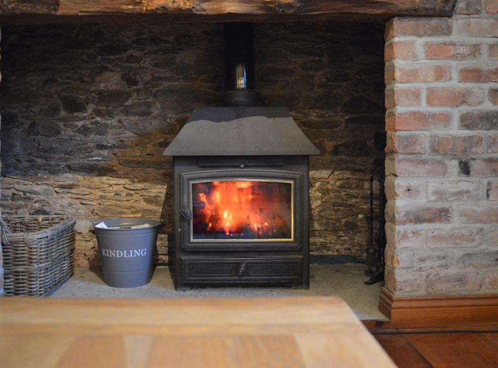 Warming wood burner at Reubens in Boreston, near Totnes, Devon