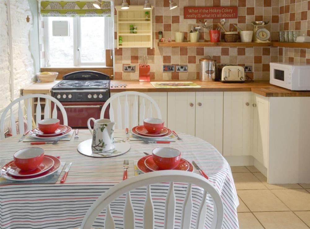 Charming well-equipped kitchen at Revels Retreat in Brixham, Devon