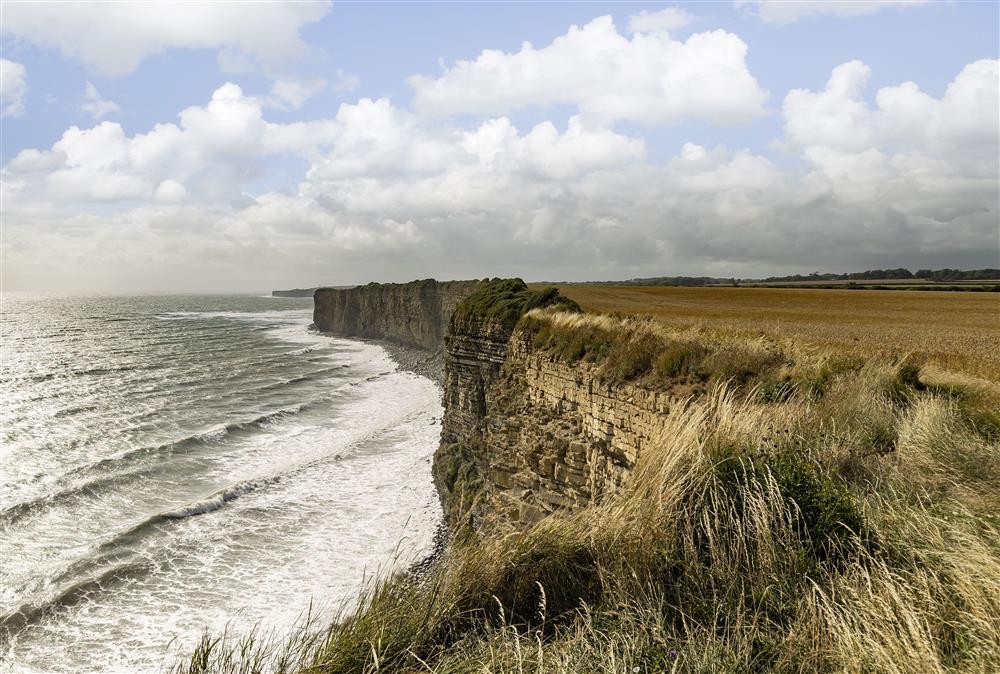 The incredible views from the areafts beautiful coastal walks at Rexton House, Llantwit Major