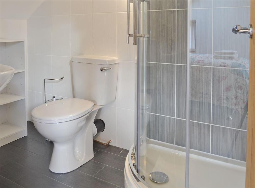 En-suite shower room at Rhiwal Kitty in Bodedern near Holyhead, Gwynedd