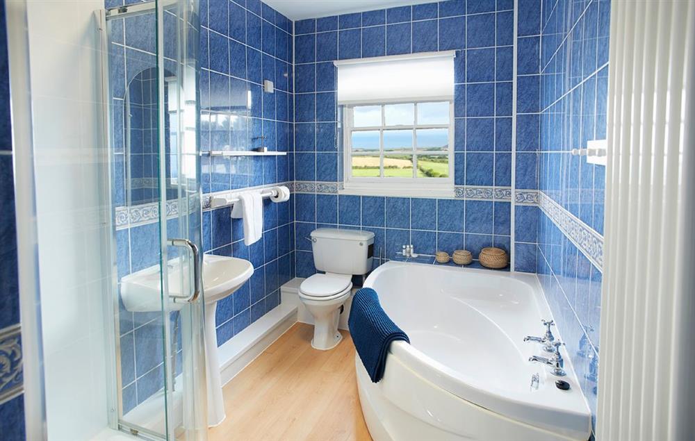 Family bathroom with separate shower enclosure at Rhiwelli, Dinas Cross