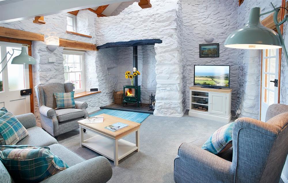 Sitting room with wood burning stove at Rhiwelli, Dinas Cross