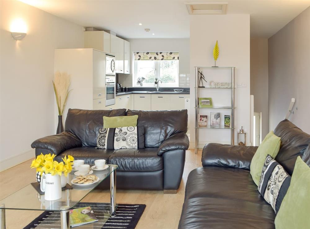 Open plan living space at Rhodewood House in Saundersfoot, Dyfed