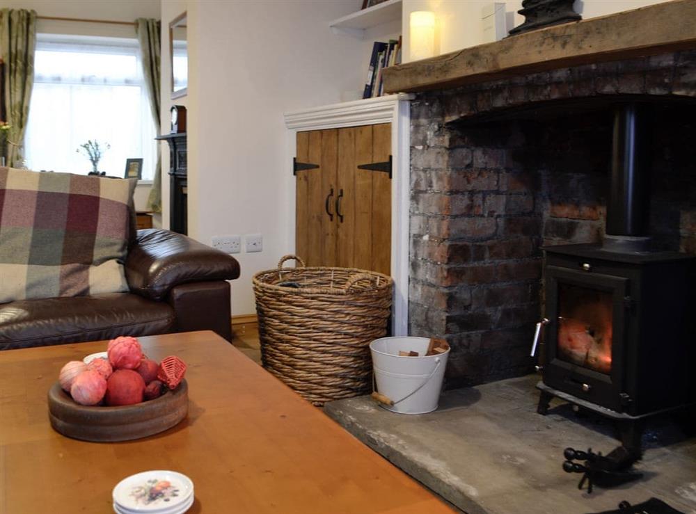 Warming wood burner at Rhonas Cottage in Abergavenny, Gwent