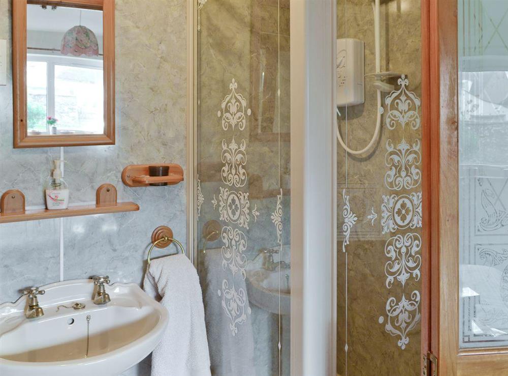 Great En-suite shower room at Rhonepark Steading in Castle Douglas, Kirkcudbrightshire