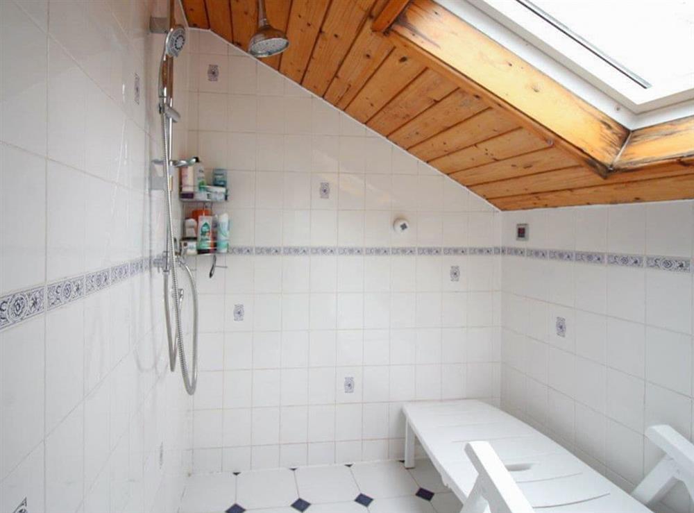 Shower room (photo 2) at Rhos-Y-Glascoed Isaf in Meifod, near Welshpool, Powys