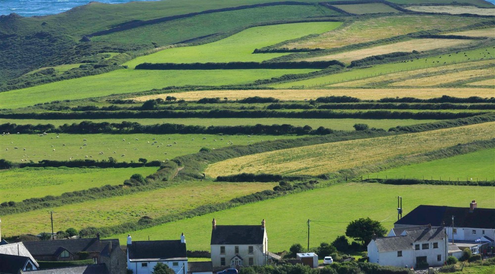 An aerial view of The Vile, a medieval strip field system below Rhosili village, Gower, Wales. In the foreground the rooftops of the houses of Rhossili village can be seen and the cliff edge and sea beyond can just be seen in the distance. at Rhossili Old