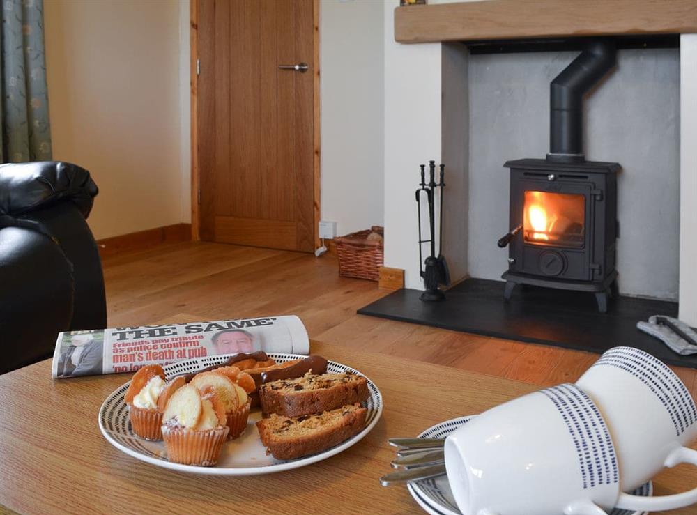 Living room with wood burner at Rhosydd Cottage in Llandyfrydog, near Amlwch, Anglesey, Gwynedd
