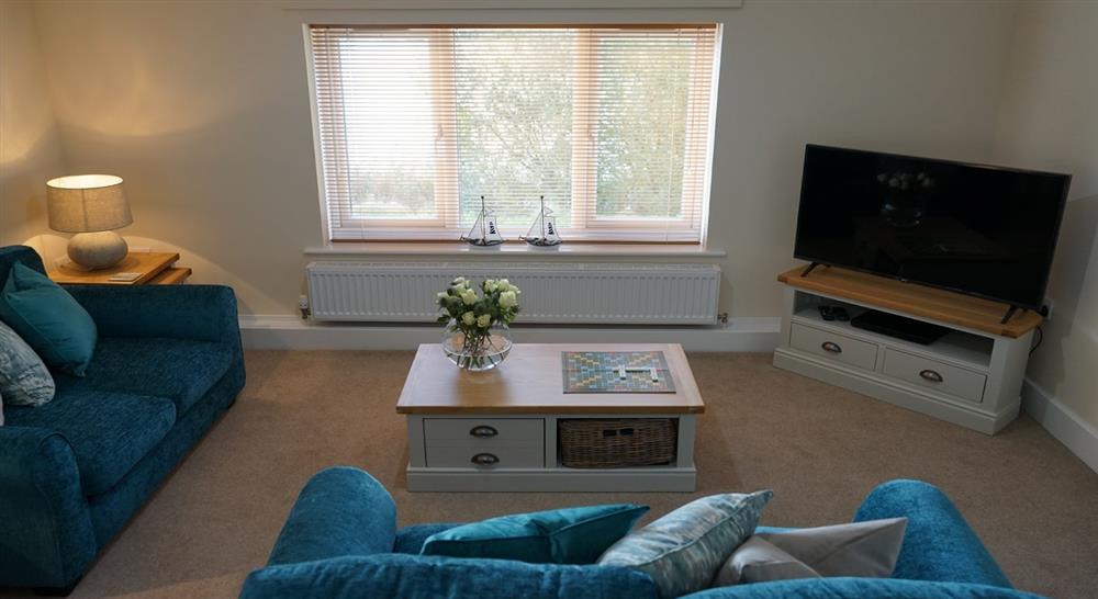 The sitting room at Richmond Lodge Apartment in Lincoln, Lincolnshire