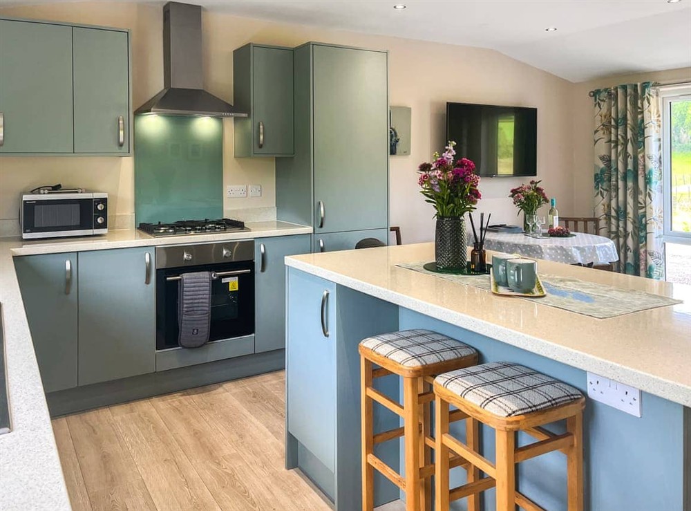 Kitchen (photo 2) at Ridge View Lodge in Dumfries, Dumfriesshire