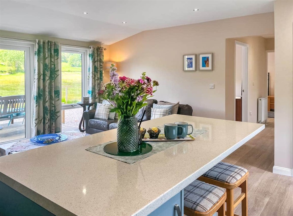 Kitchen area at Ridge View Lodge in Dumfries, Dumfriesshire
