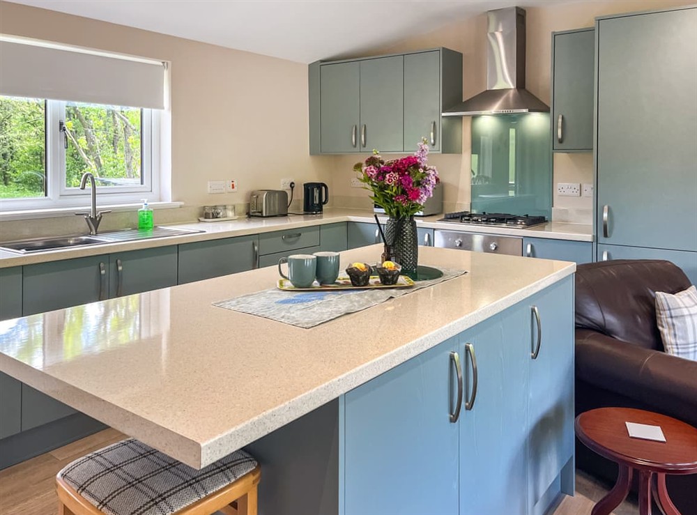 Kitchen at Ridge View Lodge in Dumfries, Dumfriesshire