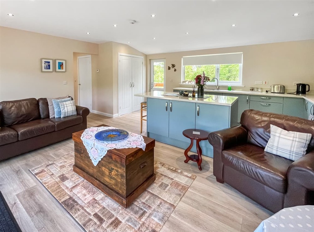 Living area (photo 2) at Ridge View Lodge in Dumfries, Dumfriesshire