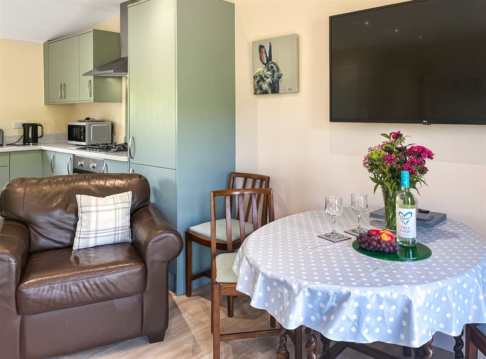 Open plan living space at Ridge View Lodge in Dumfries, Dumfriesshire