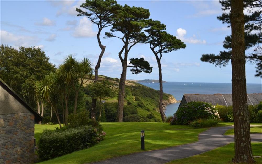 The grounds of Maenporth Estate has lots of trees and flower beds throughout.