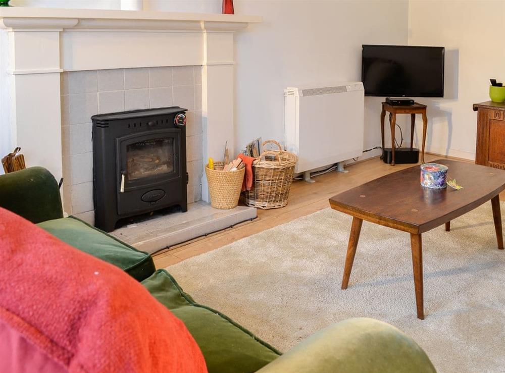 Living room with wood burning stove at Rig Cottage in Durisdeer, near Thornhill, Dumfriesshire