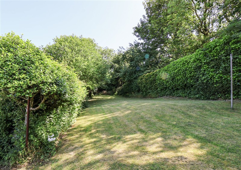 The garden at Rigg Cottage, Mount Pleasant, Sandsend