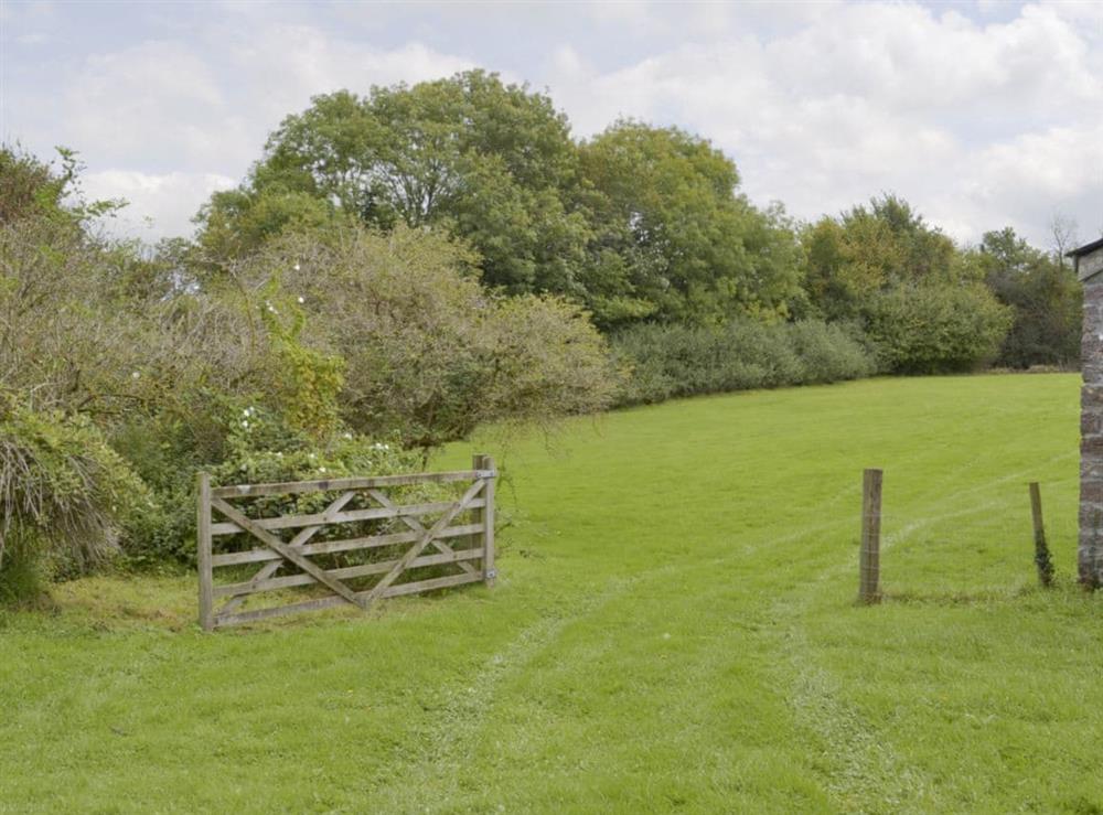 Extensive 5-acre grounds at Ringslade Barn in Highweek, near Newton Abbot, Devon