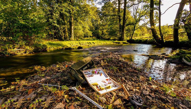 The area around River Barn