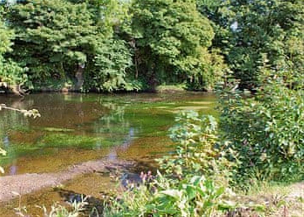 Surrounding area at River Cottage in Darley Bridge, near Matlock, Derbyshire