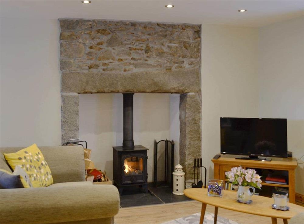 Cosy living room with wood burner at River Cottage in Newton Stewart, Wigtownshire