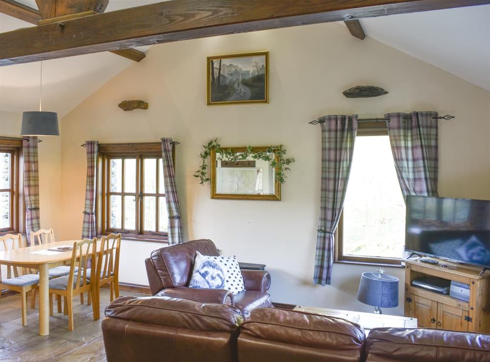 Open plan living space at River View Cottage in Near Tebay, Cumbria