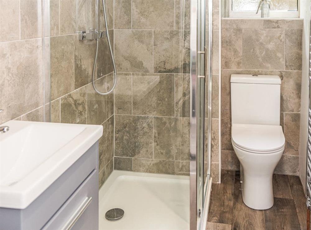 Shower room at 3 Mount Pleasant, 