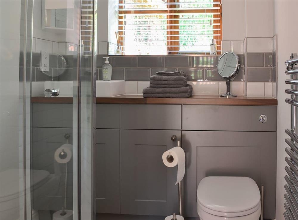 Shower room at River View Lodge in Wymondham, Norfolk