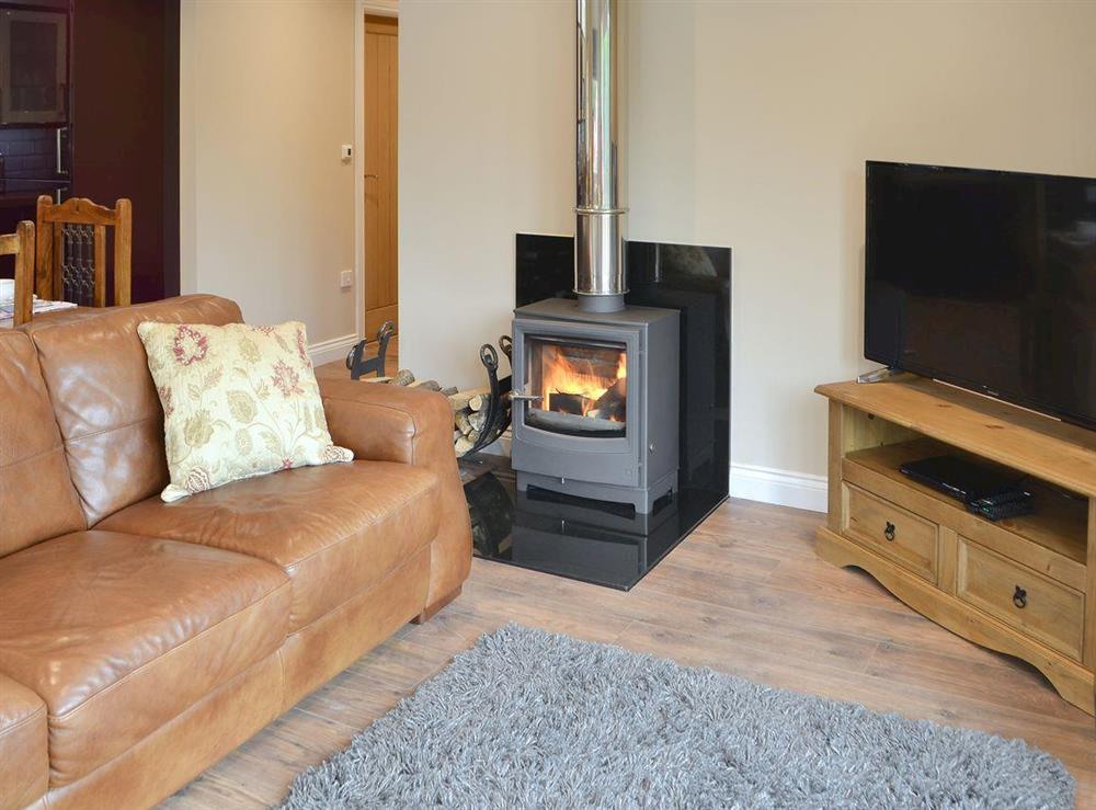 Cosy open plan living space with wood burner at River View in Warkworth, near Amble, Northumberland