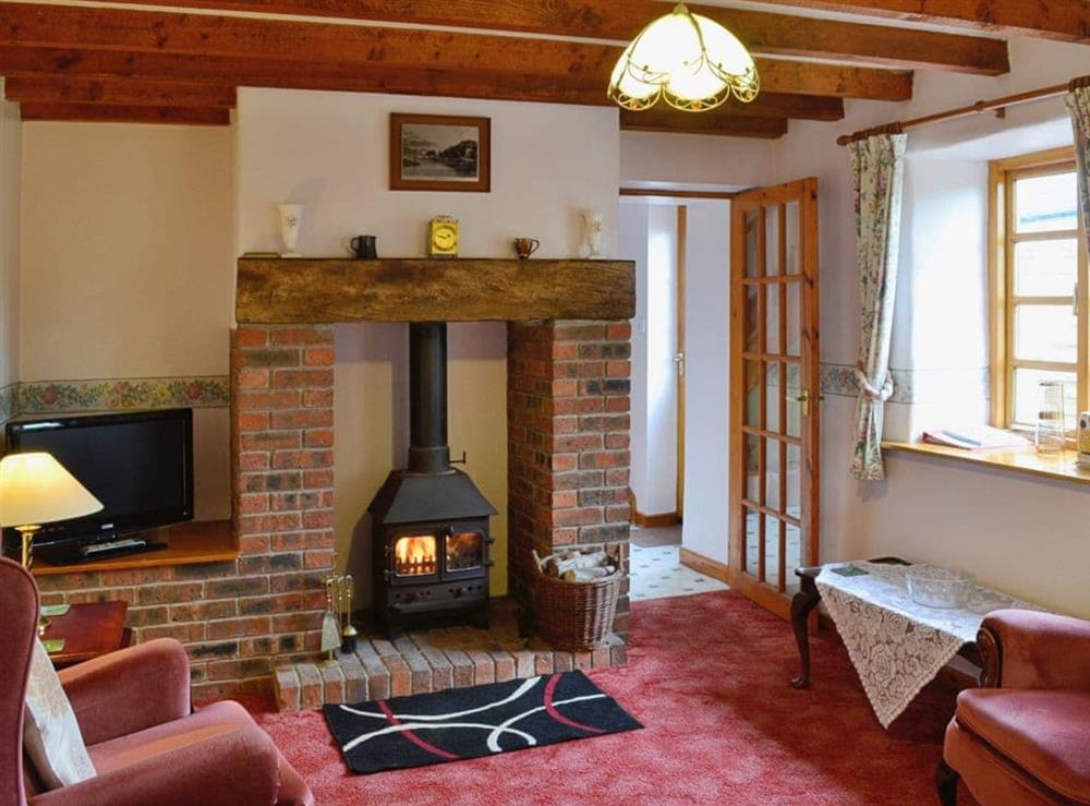 Living room at River Wye View Cottage in Symonds Yat, Ross-on-Wye, Herefordshire