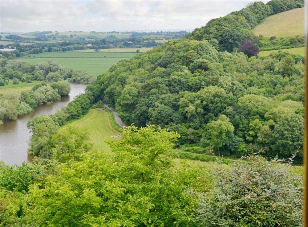 View at River Wye View Cottage in Symonds Yat, Ross-on-Wye, Herefordshire