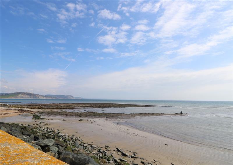 The area around Riverdance Cottage at Riverdance Cottage, Lyme Regis