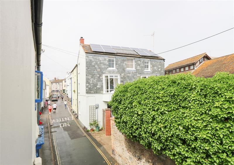 The garden at Riverdance Cottage, Lyme Regis