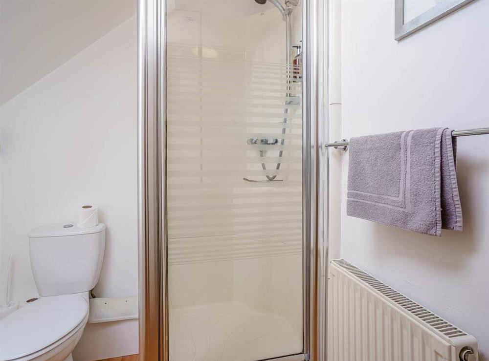En-suite at Rivers Mouth in Gwbert, Cardigan Bay, Dyfed