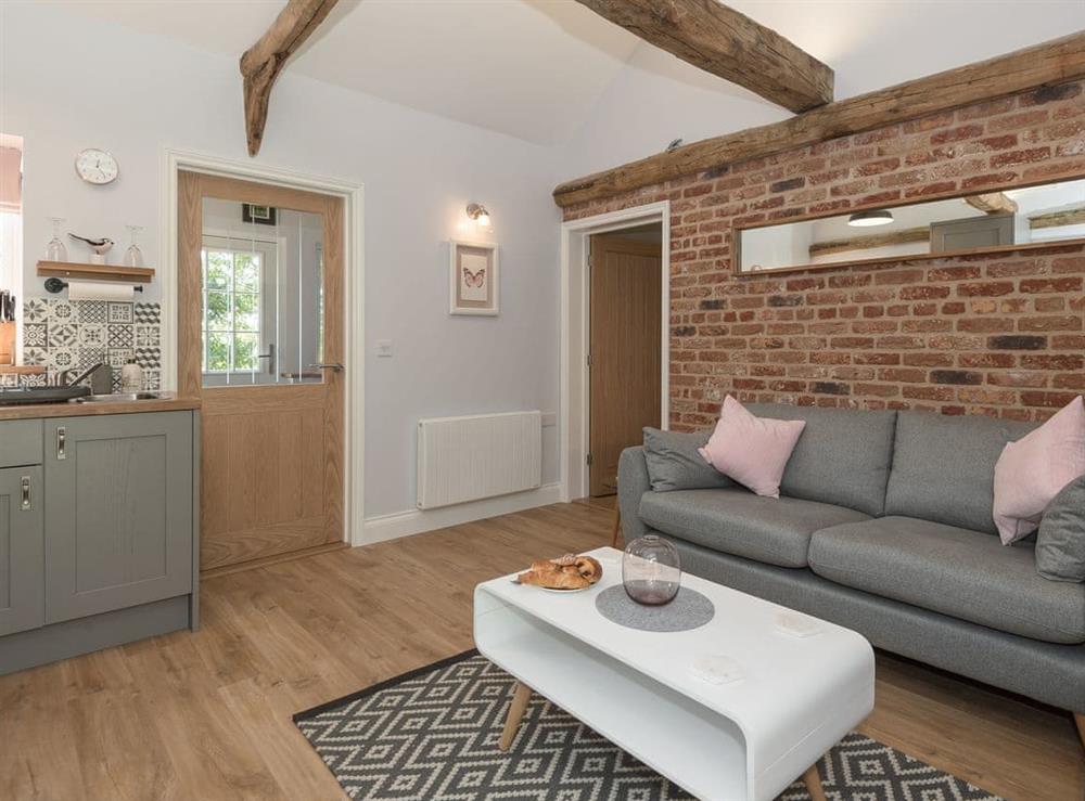 Open plan living space at Rivers Rest in Oxnead, near Norwich, Norfolk