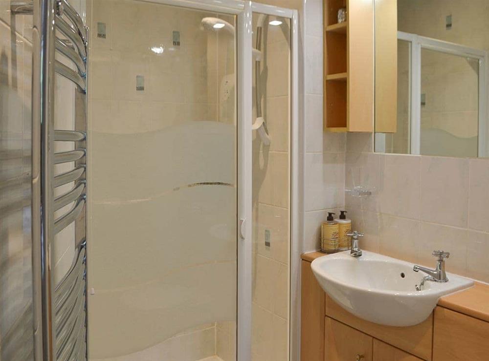 Shower room with heated towel rail at Riversdale in White Bridge, near Grasmere, Cumbria