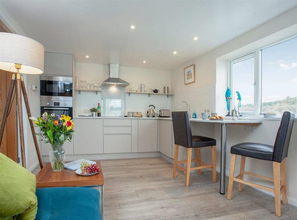 Kitchen at Riverside Apartment in Bideford, Devon